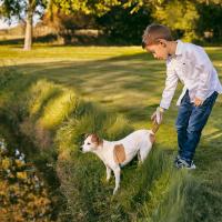 hunde_fotograf_aasmul_taastrup_16